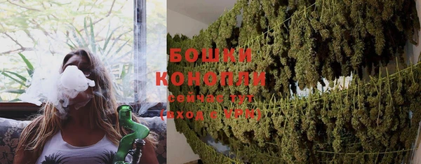 ГАЛЛЮЦИНОГЕННЫЕ ГРИБЫ Балабаново