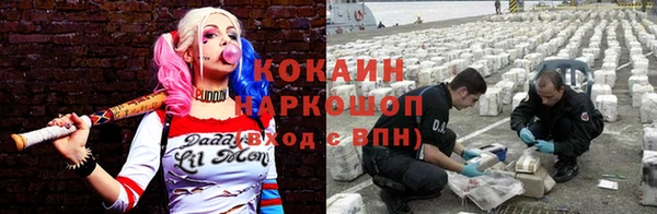ГАЛЛЮЦИНОГЕННЫЕ ГРИБЫ Балабаново